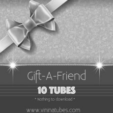 VNGIFT10 Gift-A-Friend