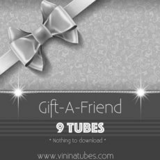VNGIFT09 Gift-A-Friend